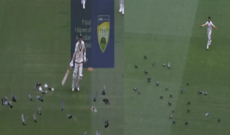 PAK vs AUS: MCG में कबूतरों ने किया खिलाड़ियों को परेशान, लाबुशेन और हसन अली ने भगाए- Video