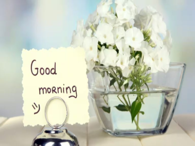 Good Morning Shyari: ‘हर सुबह की धूप कुछ याद दिलाती है’, प्यारे से मैसेज के साथ अपनों को बोले गुड मॉर्निंग