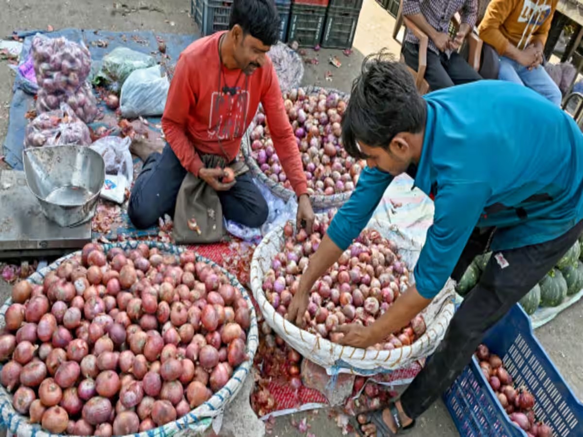 प्याज का भाव 20% गिरा, अब सरकार की तरफ से लिया जा सकता है बड़ा फैसला