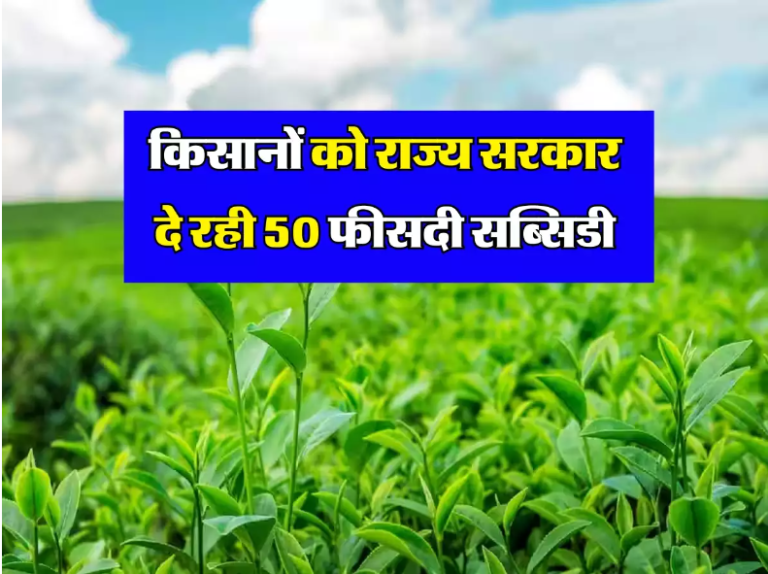 Chai Vikas Yojana: किसानों के लिए खुशखबरी, राज्य सरकार दे रही 50 फीसदी सब्सिडी