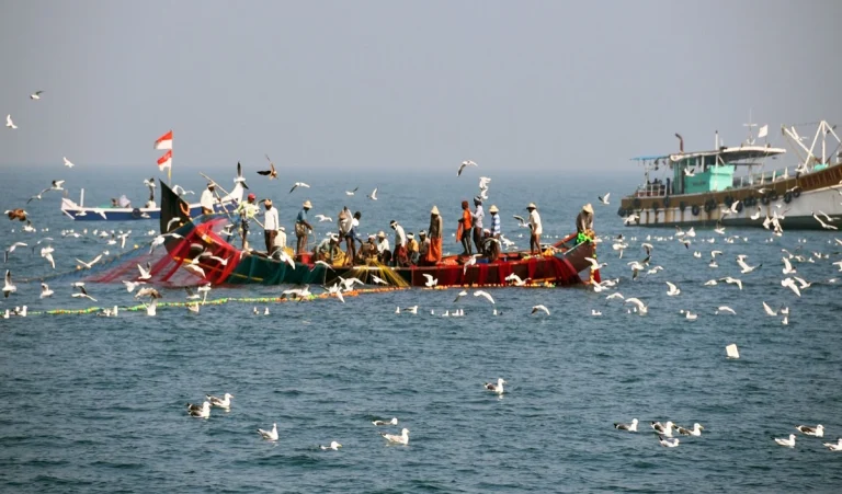 Sri Lanka ने 10 भारतीय मछुआरों को गिरफ्तार किया, एक सप्ताह में दूसरी घटना