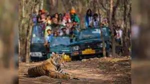 ये हैं भारत के सर्वश्रेष्ठ बाघ अभ्यारण्य, आप भी एक बार जरूर बनाएं प्लान