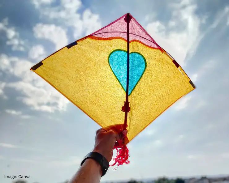 Kite Flying Safety Tips: पतंग उड़ाने से पहले जान लें ये 20 सावधानियां