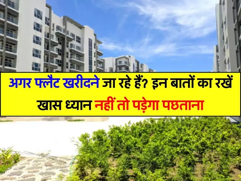 Property News : अगर फ्लैट खरीदने जा रहे हैं? इन बातों का रखें खास ध्यान नहीं तो पड़ेगा पछताना