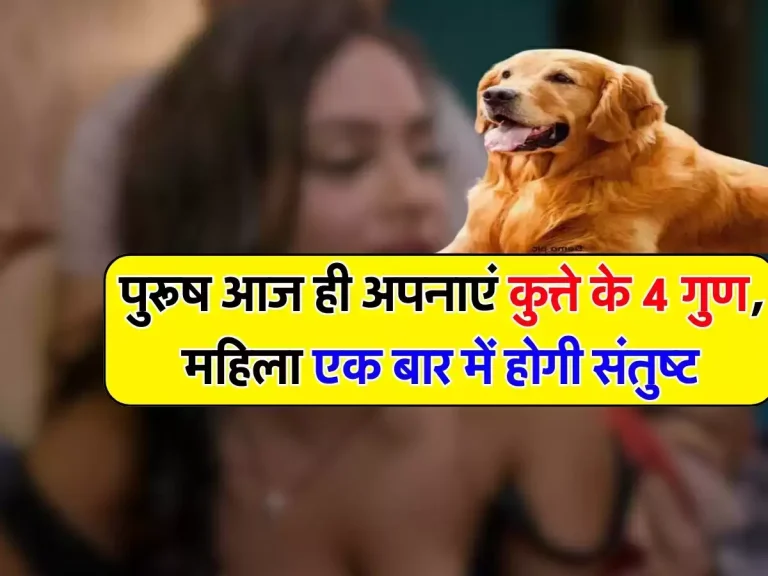 Chanakya Niti: पुरूष आज ही अपनाएं कुत्ते के 4 गुण, महिला एक बार में होगी संतुष्ट