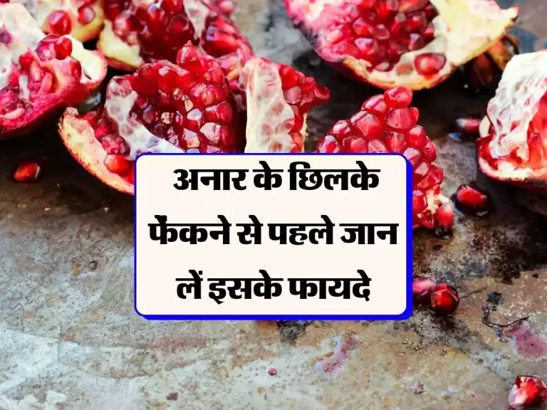 Pomegranate Peel Benefits: गलती से भी न फेंके अनार के छिलके, फायदे जानकर हो जाएंगे हैरान