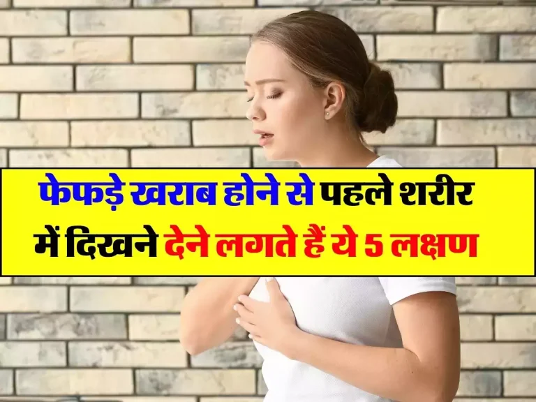 Lungs Disease Symptoms : फेफड़े खराब होने से पहले शरीर में दिखने देने लगते हैं ये 5 लक्षण, तुंरत हो जाएं अलर्ट