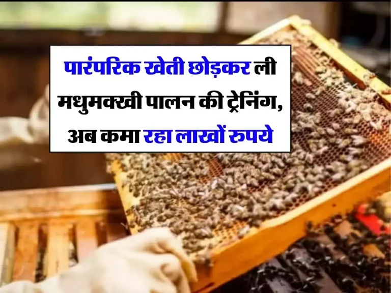 पारंपरिक खेती छोड़कर ली मधुमक्खी पालन की ट्रेनिंग, अब कमा रहा लाखों रुपये
