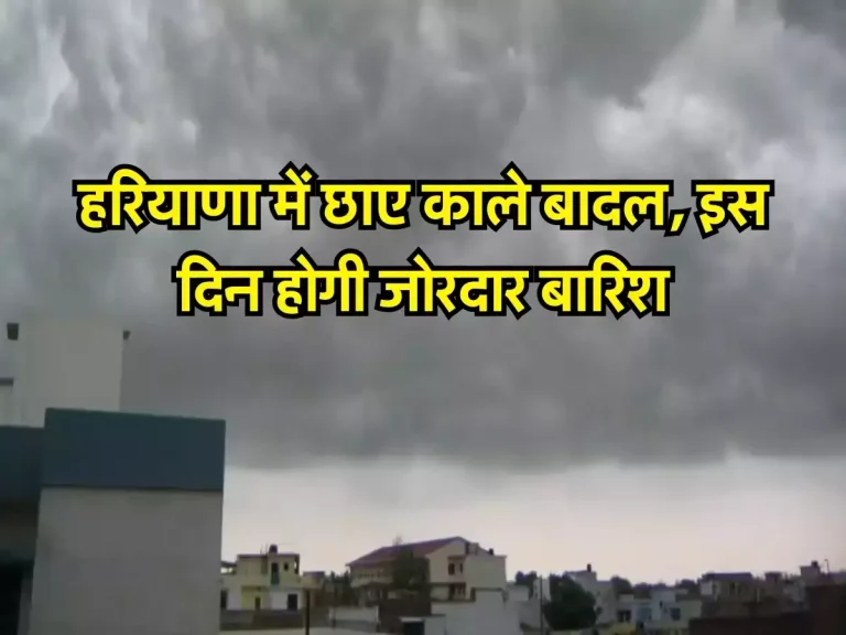 Haryana weather: हरियाणा में छाए काले बादल, इस दिन होगी जोरदार बारिश, जारी हुआ अलर्ट