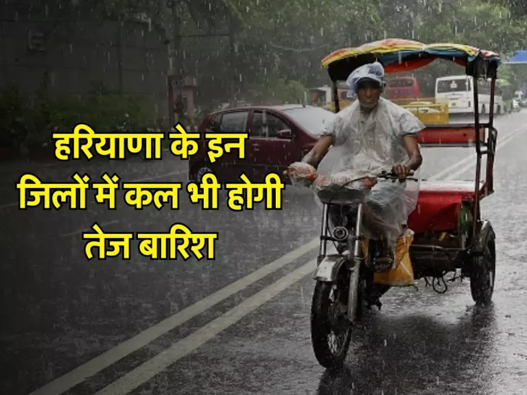 Haryana Weather: हरियाणा के इन जिलों में कल भी होगी तेज बारिश, IMD ने जारी किया अलर्ट
