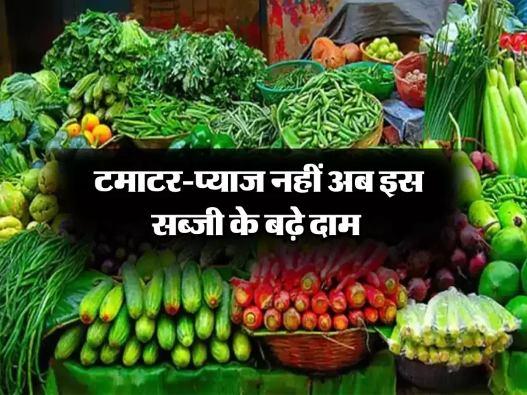 Dearness: टमाटर-प्याज नहीं अब इस सब्जी के बढ़े दाम, 200 रुपये किलो के पार पहुंची कीमत