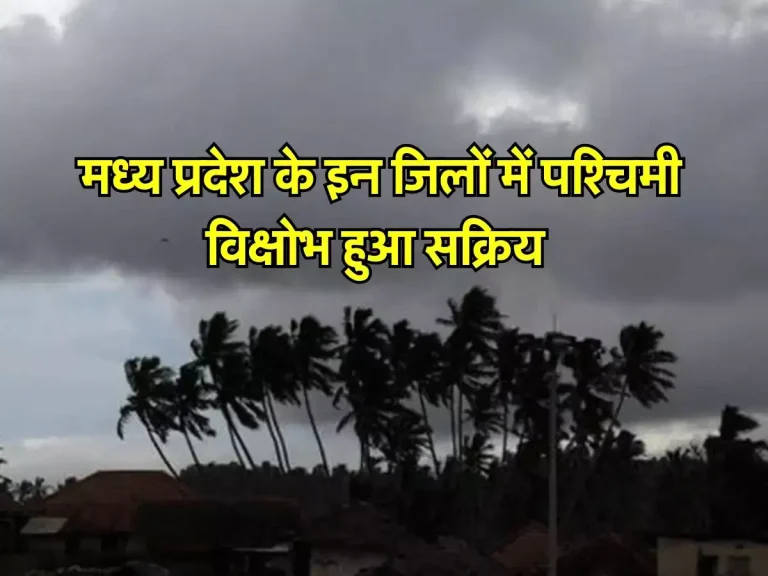 MP Weather: मध्य प्रदेश के इन जिलों में पश्चिमी विक्षोभ हुआ सक्रिय, होगी जोरदार बारिश, जारी हुआ अलर्ट
