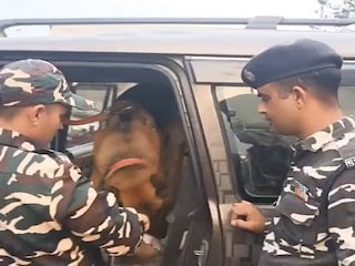 नेपाल से आई गाड़ी में कुछ नहीं मिला तो बुलाए गए 2 डॉग्‍स, फिर मामला ही पलट गया, धक रह गई पुलिस