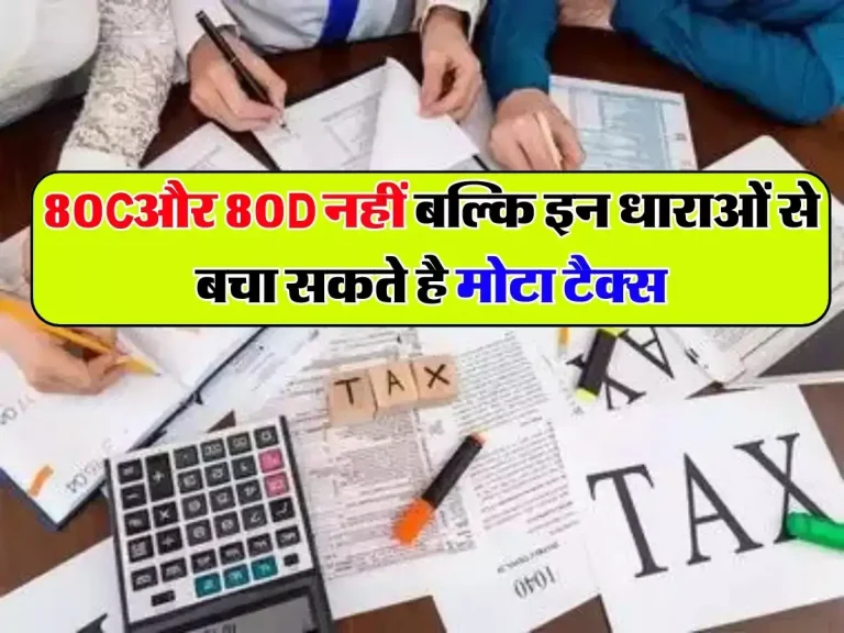 Income Tax: 80Cऔर 80D नहीं बल्कि इन धाराओं से बचा सकते है मोटा टैक्स, 99 प्रतिशत को नहीं है इसकी जानकारी