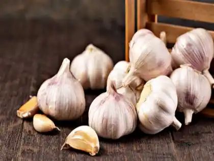 Garlic health benefits: लहसुन की सिर्फ 2 कलियां खाने से मिलेंगे चमत्कारी फायदे, कई बीमारियों से लड़ने में है सक्षम