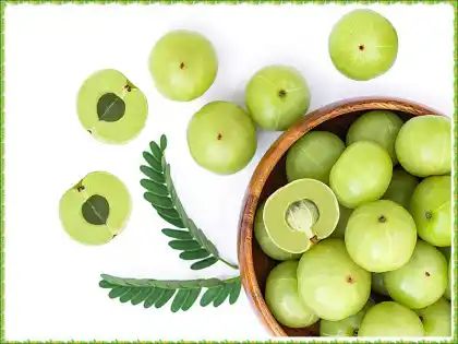 Health Tips: आंवले के 10 सेहतमंद फायदे, जानिए क्या कहता है आयुर्वेद