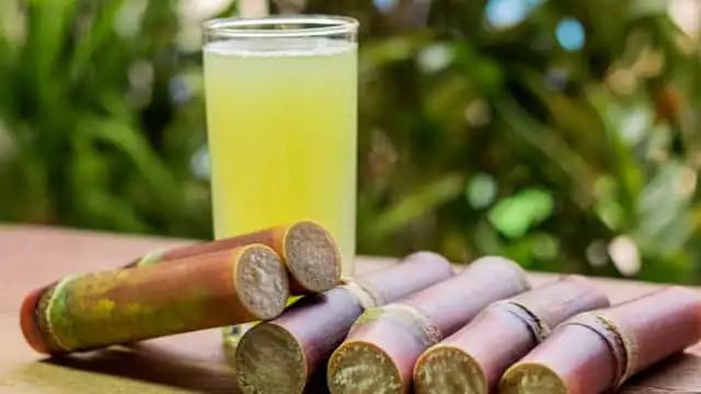 Sugarcane Juice: गन्ने का जूस पीना सेहत के लिए है फायदेमंद, बस रखें इन बातों का ध्यान