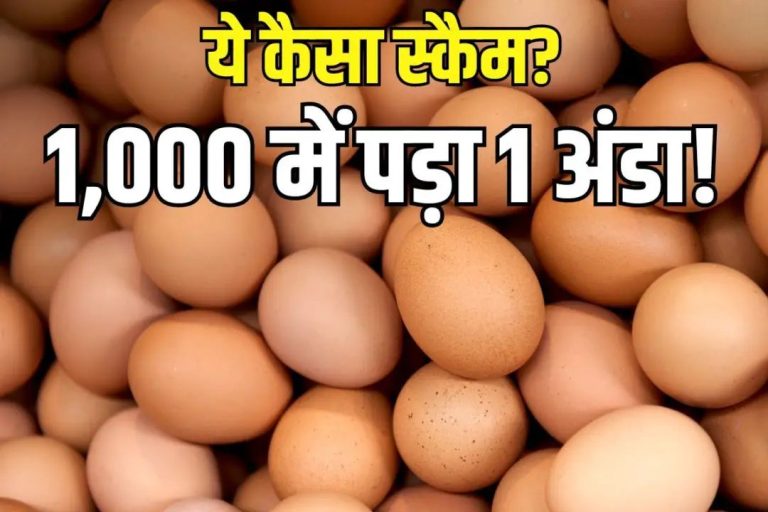 4 दर्जन अंडे खरीदने में ‘कंगाल’ हो गई बेंगलुरू की एक महिला, लग गया चूना