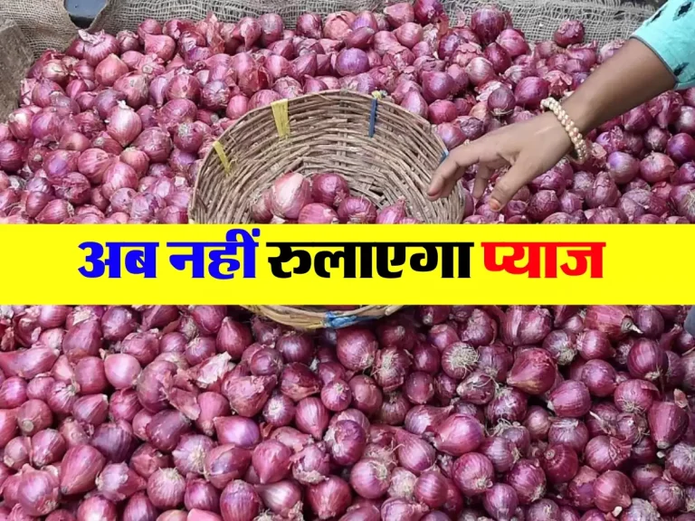 Onion Price: अब नहीं रुलाएगा प्‍याज, कीमत पर लगाम लगाने के ल‍िए सरकार ने तैयार किया नया प्लान