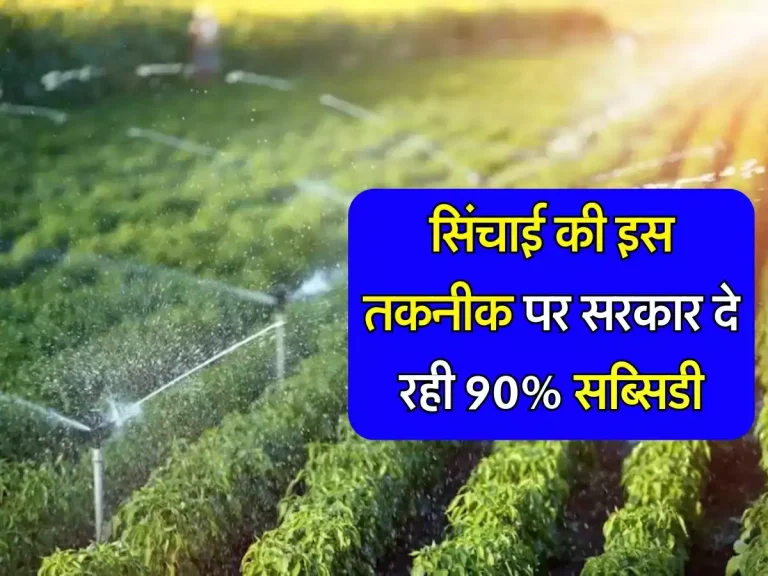 Sarkari Scheme : किसानों के लिए आई बड़ी खुशखबरी, सिंचाई की इस तकनीक पर सरकार दे रही 90% सब्सिडी, जानिए