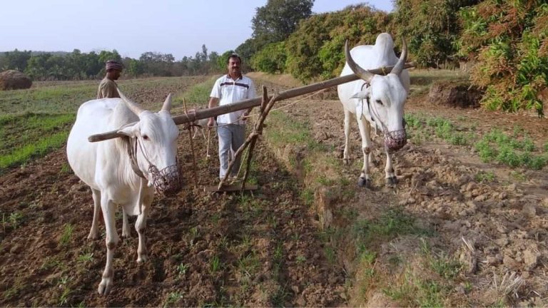 किसानों के मुद्दे पर भारत की थाईलैंड से ठनी, WTO की बैठक बनी ‘प्रेशर कुकर’