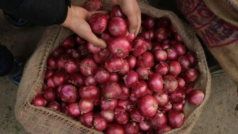 लहसुन से मिली राहत तो प्याज निकालने लगा आंसू, बढ़ गए दाम