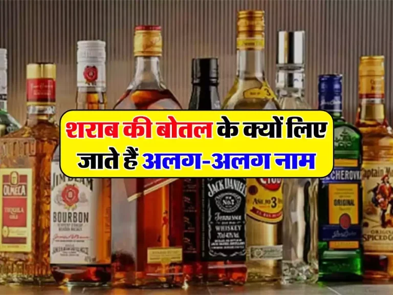 Liquor Bottles: शराब की बोतल के क्यों लिए जाते हैं अलग-अलग नाम, डेली पीने वाले भी नहीं है जानते है इसकी वजह