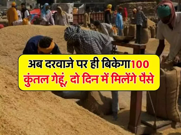 UP News: गेंहू काटने के बाद किसानों की टेंशन हुई खत्म,अब दरवाजे पर ही बिकेगा100 कुंतल गेहूं, दो दिन में मिलेंगे पैसे