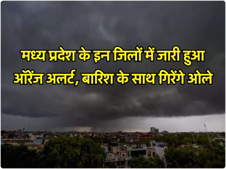 Today Weather Update : मध्य प्रदेश के इन जिलों में जारी हुआ ऑरेंज अलर्ट, बारिश के साथ गिरेंगे ओले