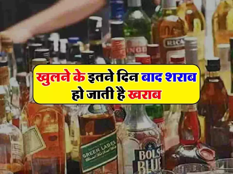 Liquor Expiry Date: खुलने के इतने दिन बाद शराब हो जाती है खराब, जानिए इसकी एक्सपायरी डेट