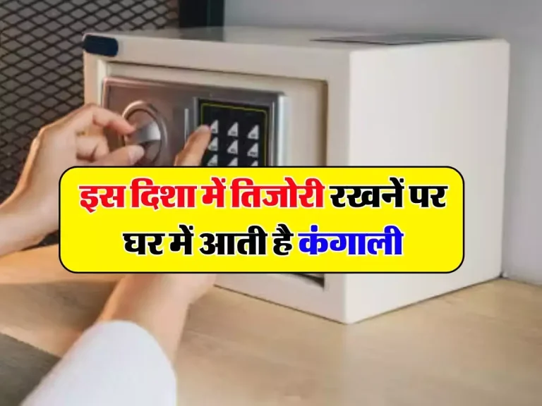 Vastu Tips: इस दिशा में तिजोरी रखनें पर घर में आती है कंगाली, इन नियमों का रखें ध्यान