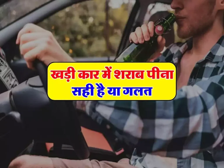 Drinking Alcohol In Car: खड़ी कार में शराब पीना सही है या गलत, जानिए क्या कहता है कानून