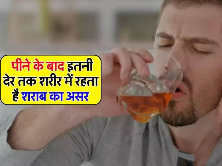 Alcohol Fact: पीने के बाद इतनी देर तक शरीर में रहता है शराब का असर, डेली ड्रिंकर्स भी नहीं है जानकारी