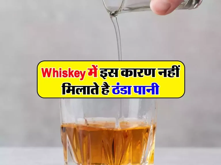 Whiskey में इस कारण नहीं मिलाते है ठंडा पानी, एक्सपर्ट ने किया खुलासा