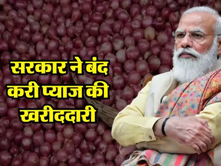 Onion Price Today : सरकार ने बंद करी प्याज की खरीददारी, किसानों की बढ़ी टेंशन, जानें कितना है भाव