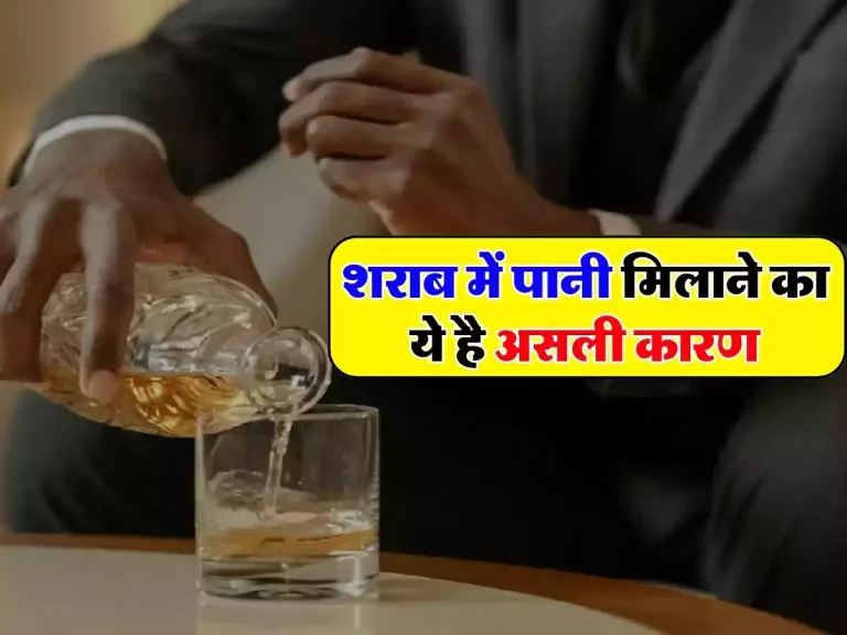 Alcohol: शराब में पानी मिलाने का ये है असली कारण, 90 फीसदी लोग है इस बात से अनजान