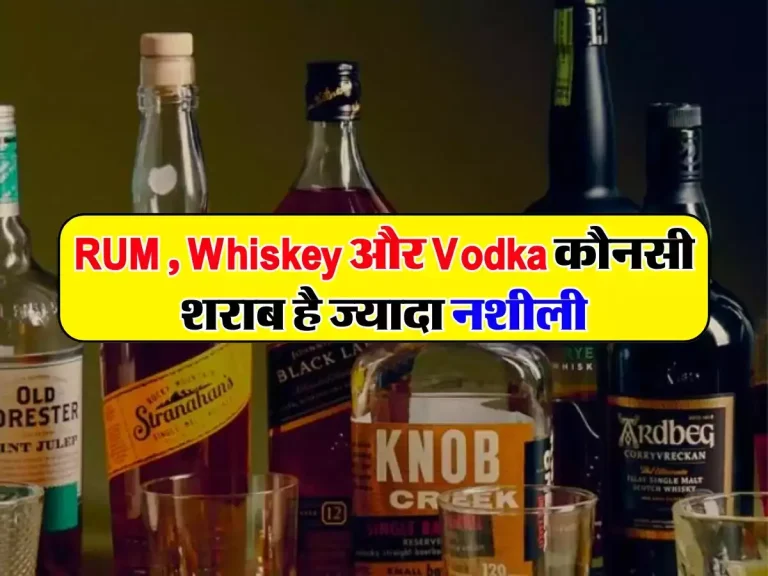 RUM , Whiskey और Vodka कौनसी शराब है ज्यादा नशीली, पीने से पहले जान लें जरूर