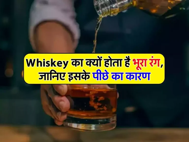 Alcohol news: Whiskey का क्यों होता है भूरा रंग, जानिए इसके पीछे का कारण