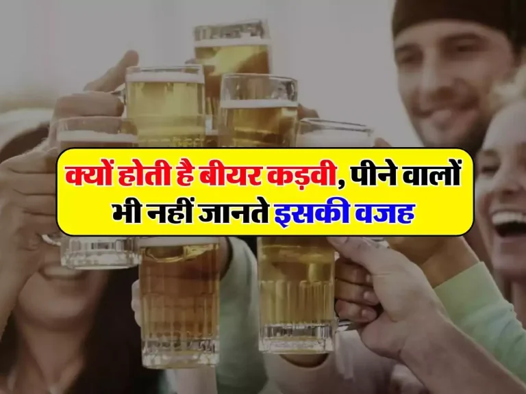 Beer: क्यों होती है बीयर कड़वी, डेली पीने वालों को भी नहीं पता इसके पीछे की वजह