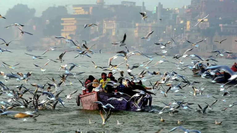 बनारस की गंगा में पर्यटक रात 8.30 बजे के बाद नहीं कर सकेंगे नौका विहार, जानिए क्या है वजह!