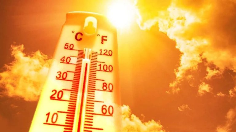 गर्मी की फिफ्टी! दिल्ली में टूटा 100 साल का रिकॉर्ड, नजफगढ़ में पारा 50 के करीब पहुंचा