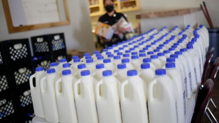 नहीं बेच सकते मां का दूध, भरना पड़ेगा मोटा जुर्माना, FSSAI ने दी ये बड़ी चेतावनी