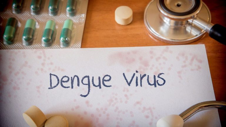 National dengue day :  बढ़ रहे डेंगू के मामले, कैसे रखें खुद का ध्यान, एक्सपर्ट्स से जानें