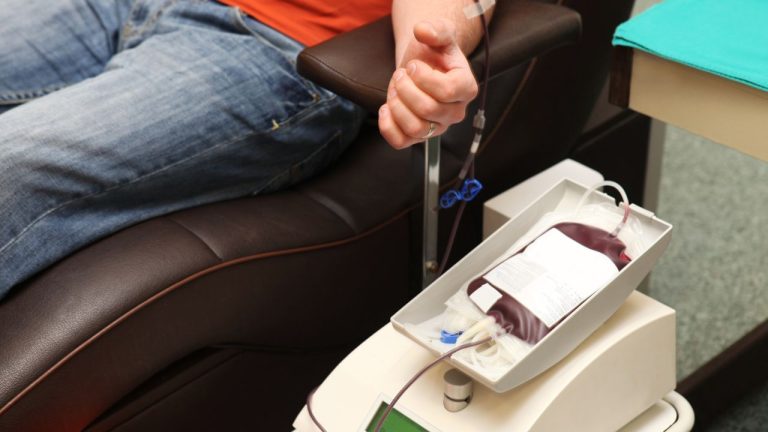World Blood Donor Day: क्या कैंसर के मरीज कर सकते हैं रक्तदान? एक्सपर्ट्स से जानें जवाब
