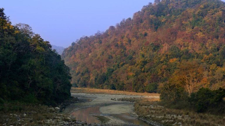 शनिवार से लेकर सोमवार, जन्माष्टमी पर मिल रही है तीन दिन की छुट्टी, घूम आएं ये जगहें