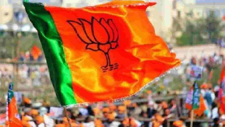 MCD Ward Committee Election: एमसीडी में बीजेपी का दबदबा, वार्ड कमेटी की 7 सीटों पर किया कब्जा, 5 पर सिमटी AAP